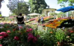 photo Rendez-vous aux jardins