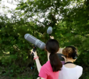 photo Audio-naturaliste en herbe