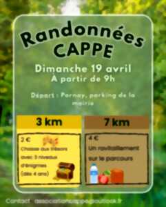 photo 3ème Randonnée pédestre de Parnay organisée par le C.A.P.P.E.