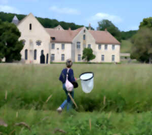 photo Emprunte d'insecte