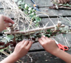 photo Initiation au tissage végétal