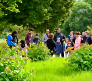 photo Un jardin, une couleur #1