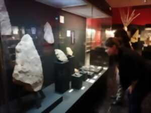 photo Visite commentée : La collection Préhistoire du musée