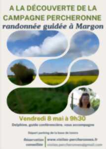 photo Balade guidée - À la découverte de la campagne percheronne