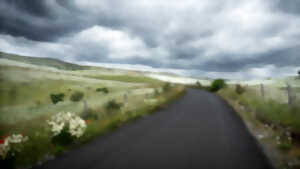 photo EXPOSITION PHOTOS - LOZÈRE, DANS L'INTIMITÉ DE LA VIE SAUVAGE