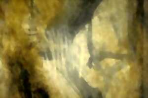 photo LE FOLIE DE LA FORME