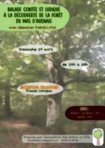 photo Balade contée et ludique à la découverte de la forêt du Mas d'Agenais