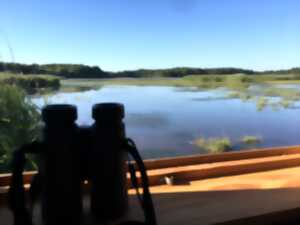 photo Instants Nature - Malzoné, aux couleurs du printemps