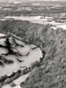 photo Nuit internationale de la chauve-souris aux Roches de Ham