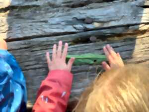 photo Eveil à la nature spécial 18 mois - 4 ans : A la recherche des petites bêtes