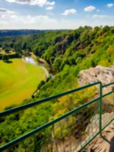 photo Sortie printanière : Immortelles