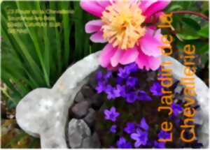 photo Jardin de la Chevallerie : visite libre