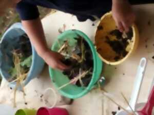 photo Eveil à la nature spécial 18 mois - 4 ans : Atelier patouille