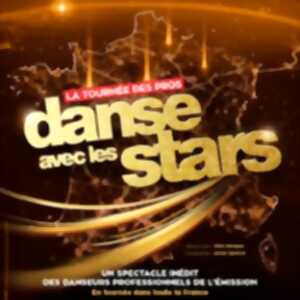 photo Danse Avec les Stars - La Tournée des Pros