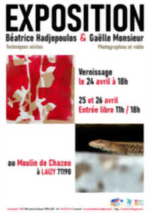 photo Exposition de peinture et photographie/vidéo de Béatrice Hadjopoulos et Gaëlle Monsieur