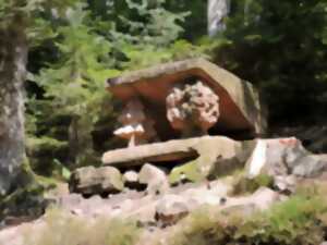 photo Randonnée commentée Sentier du Sandweg