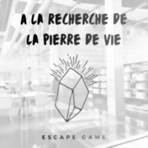 photo À la recherche de la pierre de vie