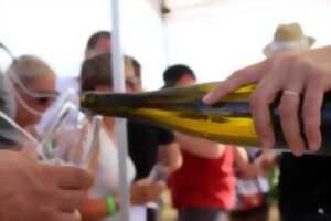 photo Pique-nique chez le vigneron