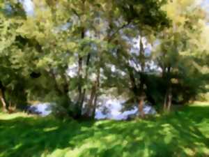 photo Kamishibaï - Contes de Printemps