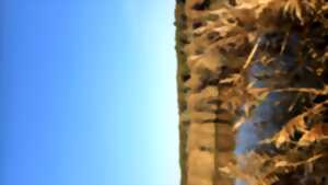 photo Les découvertes de Monta : Découverte du marais au crépuscule