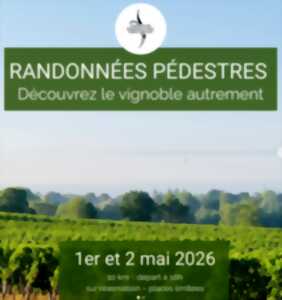 photo Cave des Vignerons de Puisseguin Lussac Saint-Emilion : Randonnées pédestres