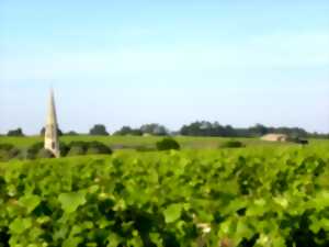 photo Randonnée le Marchonpour