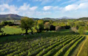 photo Randonnée accompagnée :  à la découverte du piment d'Espelette