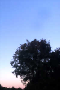 photo Quand la nuit se lève sur la réserve naturelle