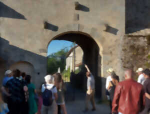 photo Festival du château nord 2026 - Visite, Dîner, Concerts (Farah Fersi et Malval)