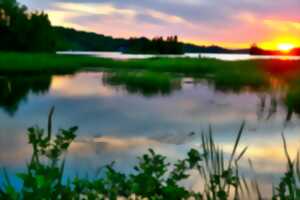 photo Balade nature : Préventions des tiques