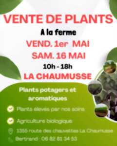 photo Vente de plants potagers et aromatiques à la ferme
