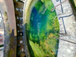 photo Visite guidée à Tonnerre : Mystères de l’Eau et Splendeurs Médiévales