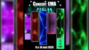 photo Concert EMA