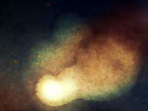 photo EXPOSITION - PREMIER MONDE