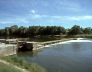 photo Jour de Cher 2026 - Visite éclair des bords du Cher à Chisseaux