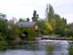 photo Jour de Cher 2026 - Visite éclair des bords du Cher et du site éclusier de Nitray à Athée-sur-Cher