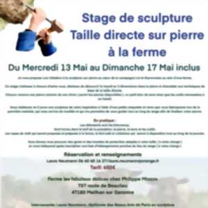 photo Stage de sculpture sur pierre à la ferme