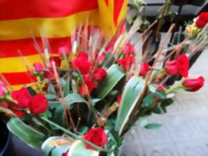 photo SANT JORDI