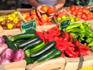 photo MERCAT DEL SOL