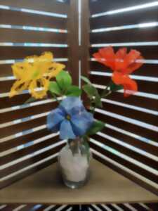 photo Démonstration de dentelle aux fuseaux