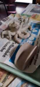 photo Atelier de poterie créative