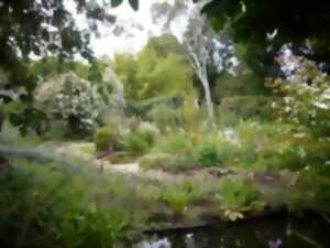 photo Visite accompagnée du jardin du Revers