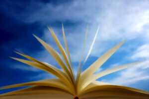 photo Conférence sur « la bibliothérapie »