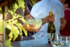 Visite du vignoble