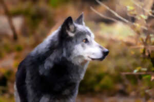 photo Halloween : légendes et sortilèges au Parc zoologique et botanique
