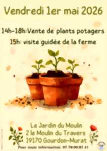 photo Vente de plants potagers au Jardin du Moulin
