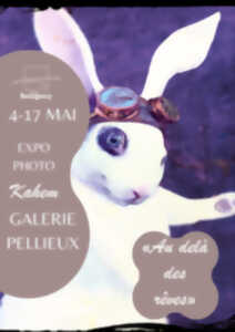 photo Exposition : Au-delà des rêves