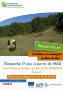 photo Orchidées et compagnie