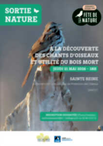 Fête de la nature - À la découverte des chants d'oiseaux et utilité bois mort