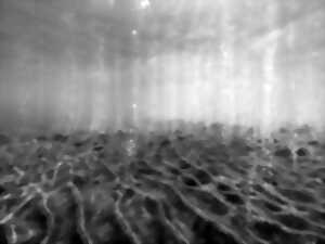 photo Exposition : Hydroscape